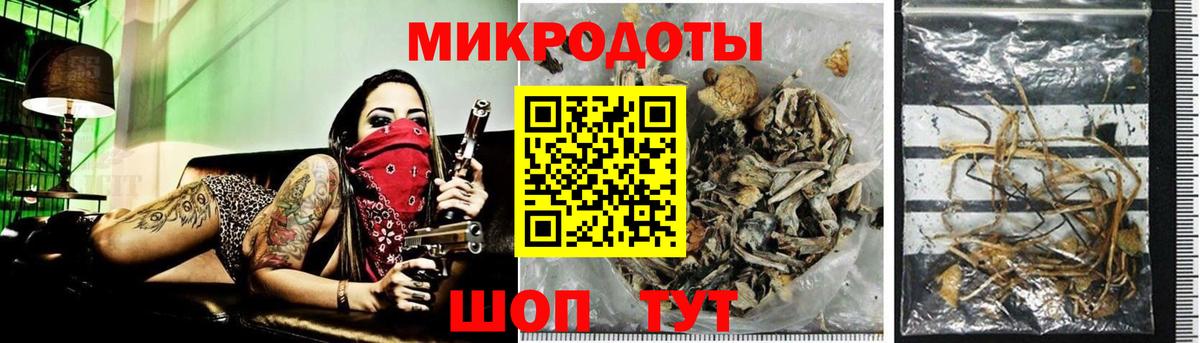 Галлюциногенные грибы GOLDEN TEACHER  Вход с VPN  Белгород 