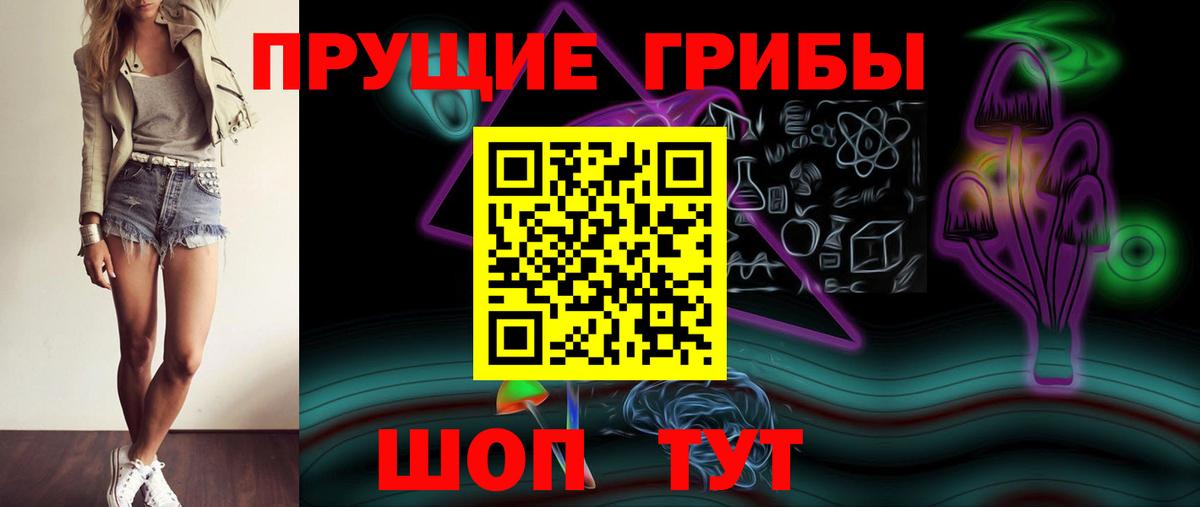 Галлюциногенные грибы Psilocybine cubensis Белгород